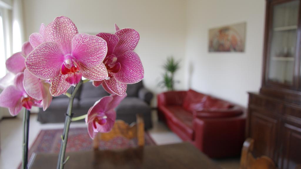 Casa Farinati Apartment - Verona, Verona